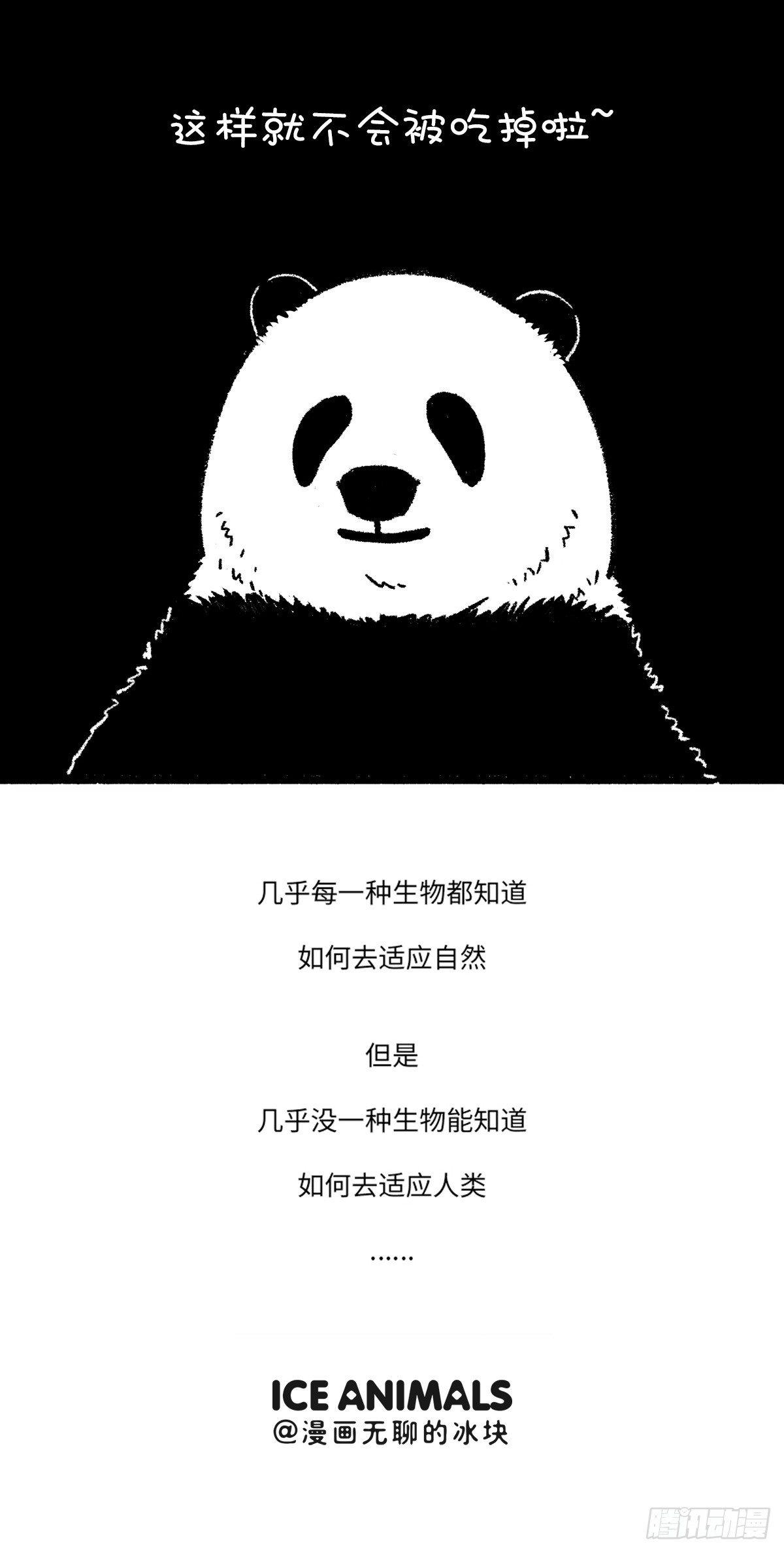 🍕快把动物放进冰箱 改变已从这一刻悄然开始 第4页