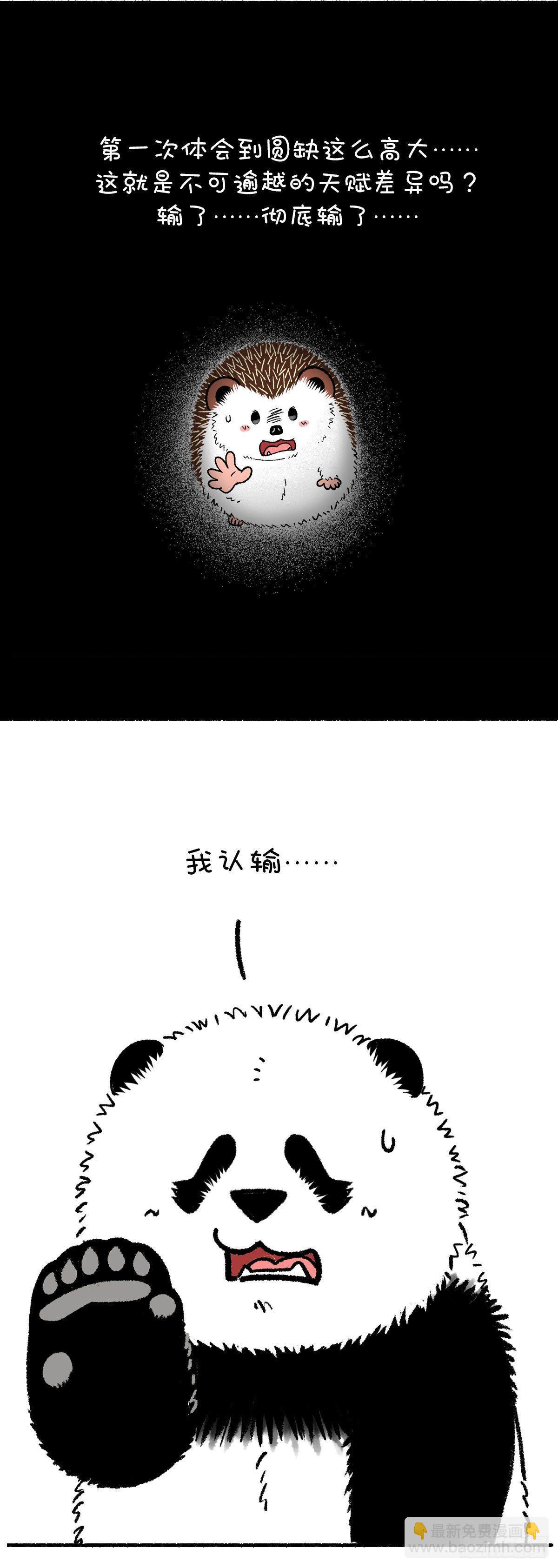 🍕快把动物放进冰箱 你的长处够不够有竞争力？ 第3页