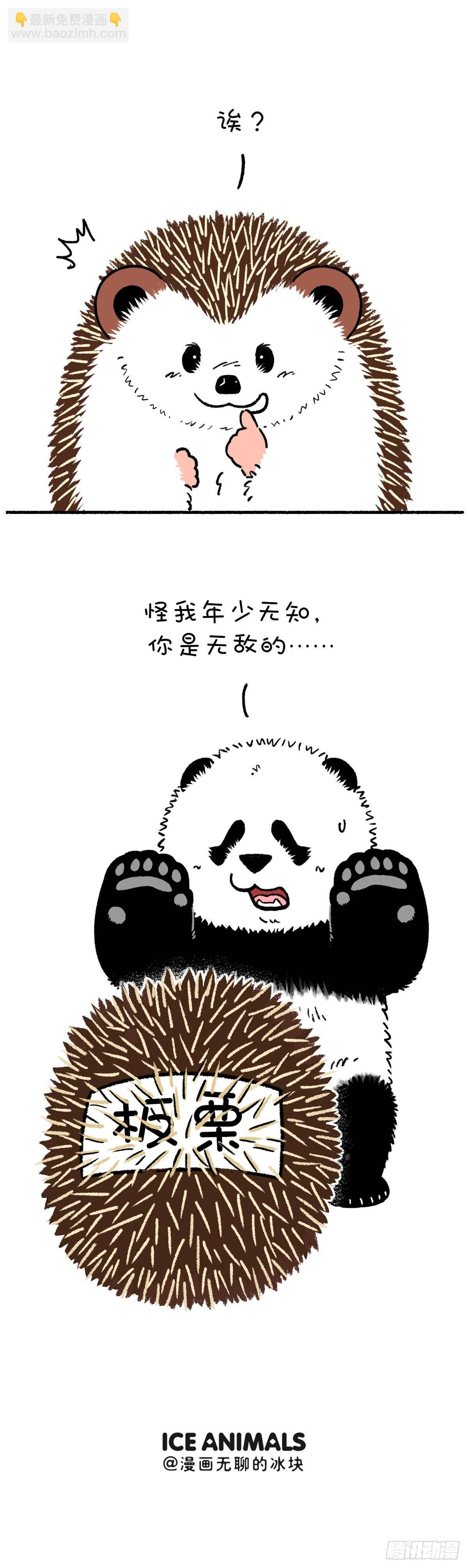 🍕快把动物放进冰箱 你的长处够不够有竞争力？ 第4页