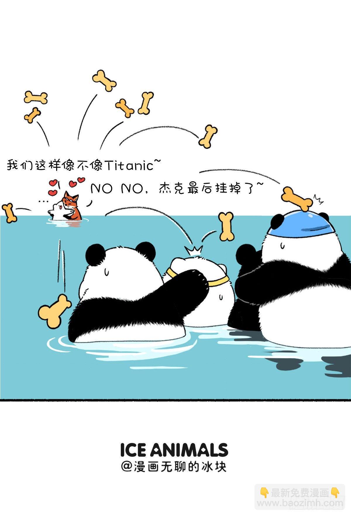 🍕快把动物放进冰箱 这是一场盛夏的降维打击 第6页