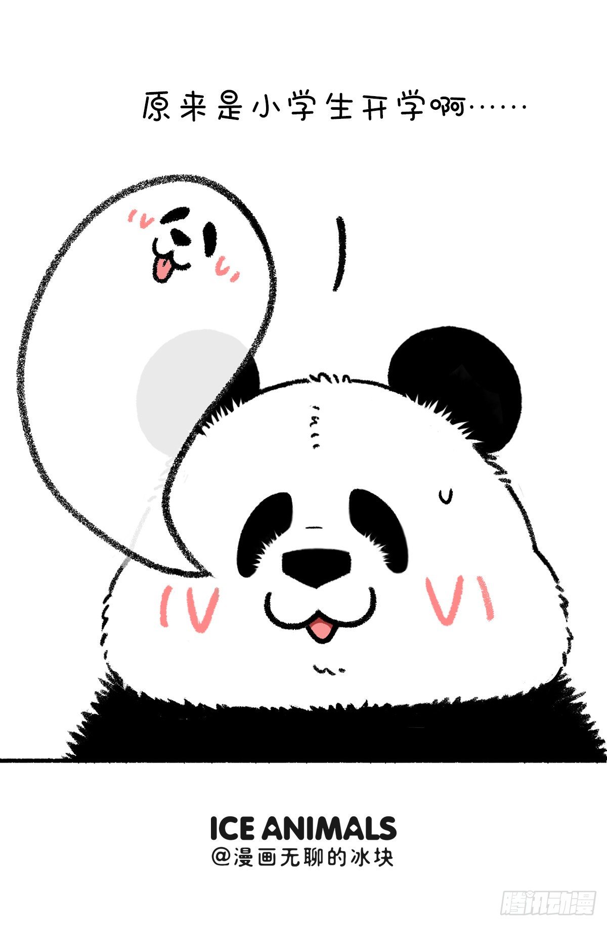 🍕快把动物放进冰箱 中元节早上我目睹了件很恐怖的事 第5页