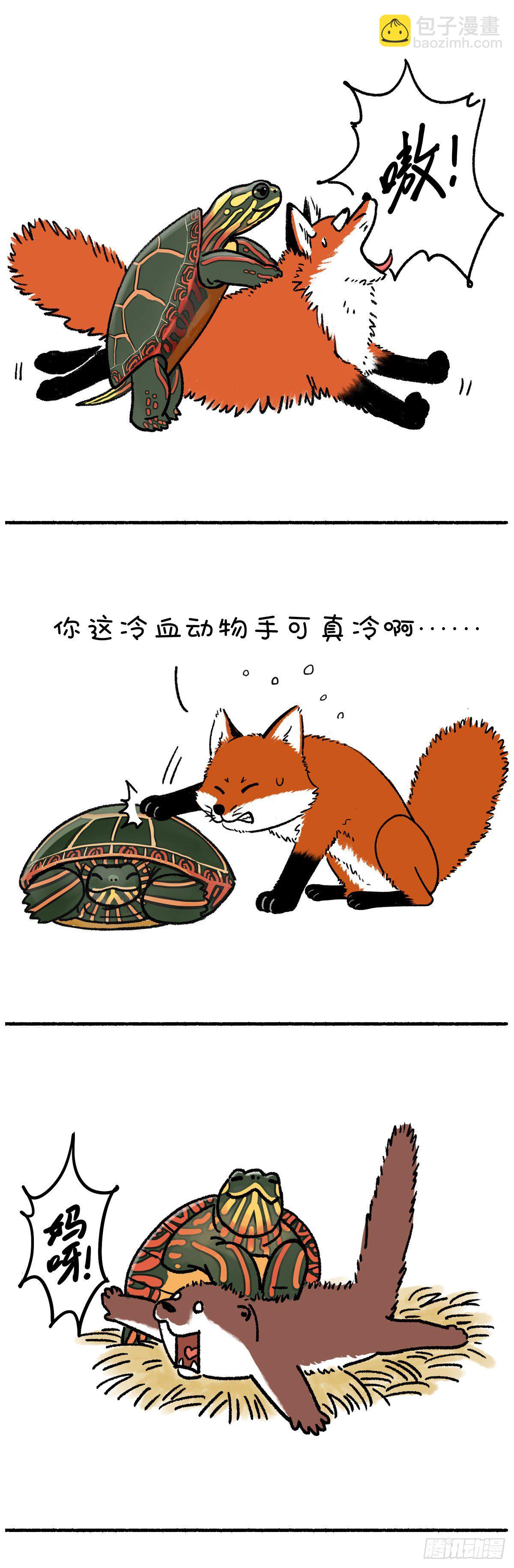 🍕快把动物放进冰箱 就算我似冰寒，也想给你温暖~ 第2页
