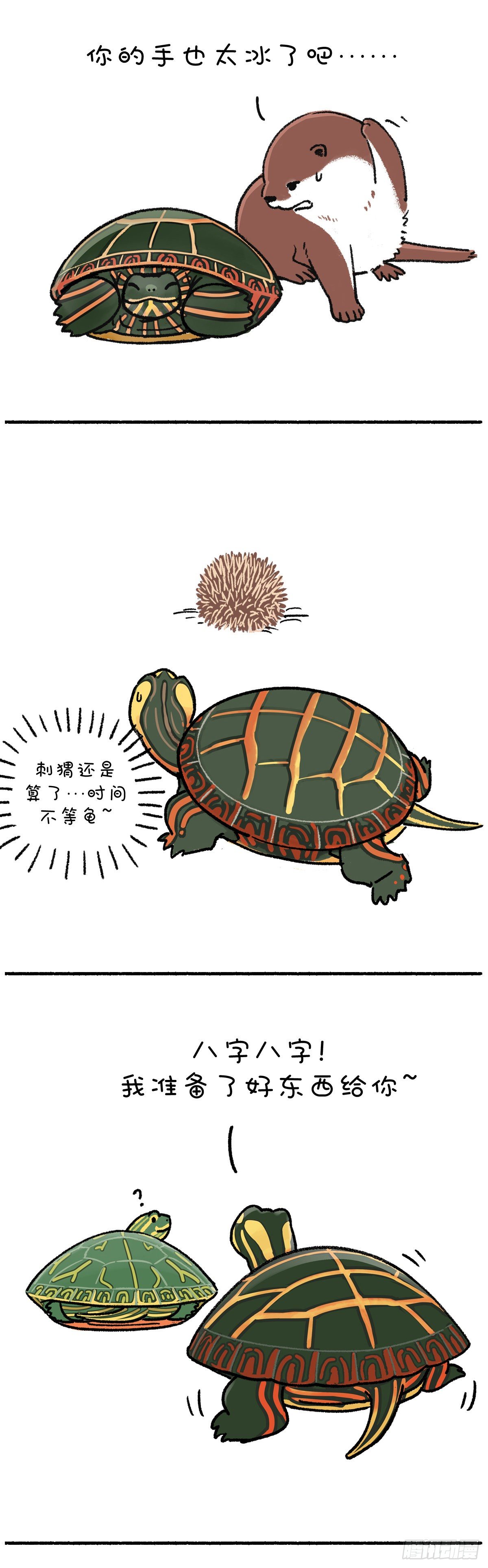 🍕快把动物放进冰箱 就算我似冰寒，也想给你温暖~ 第3页