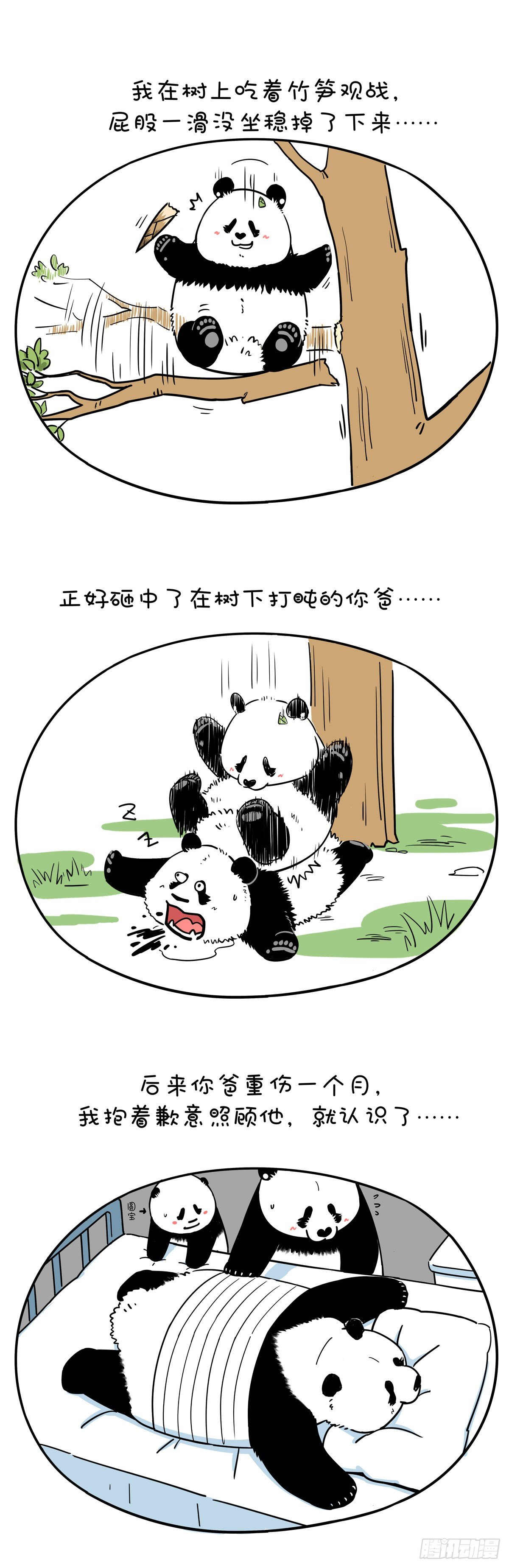 🍕快把动物放进冰箱 猿粪向来天注定，自古胜者多躺赢 第5页