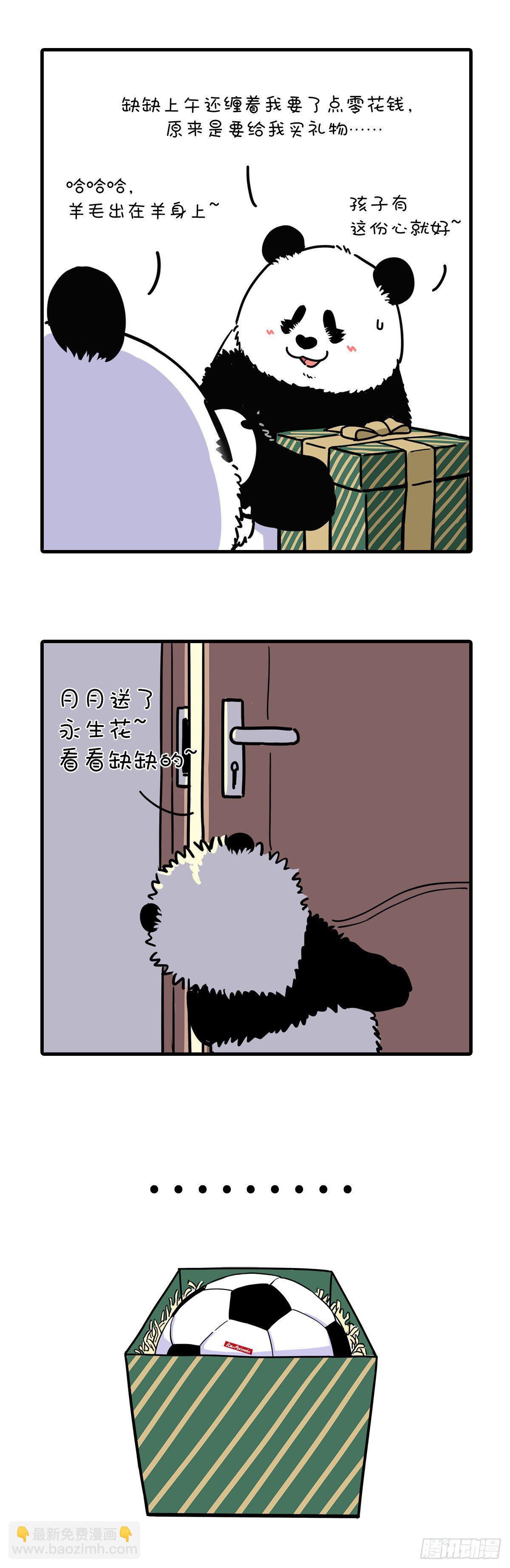 🍕快把动物放进冰箱 母爱如江河，点滴回报永不干涸~ 第4页