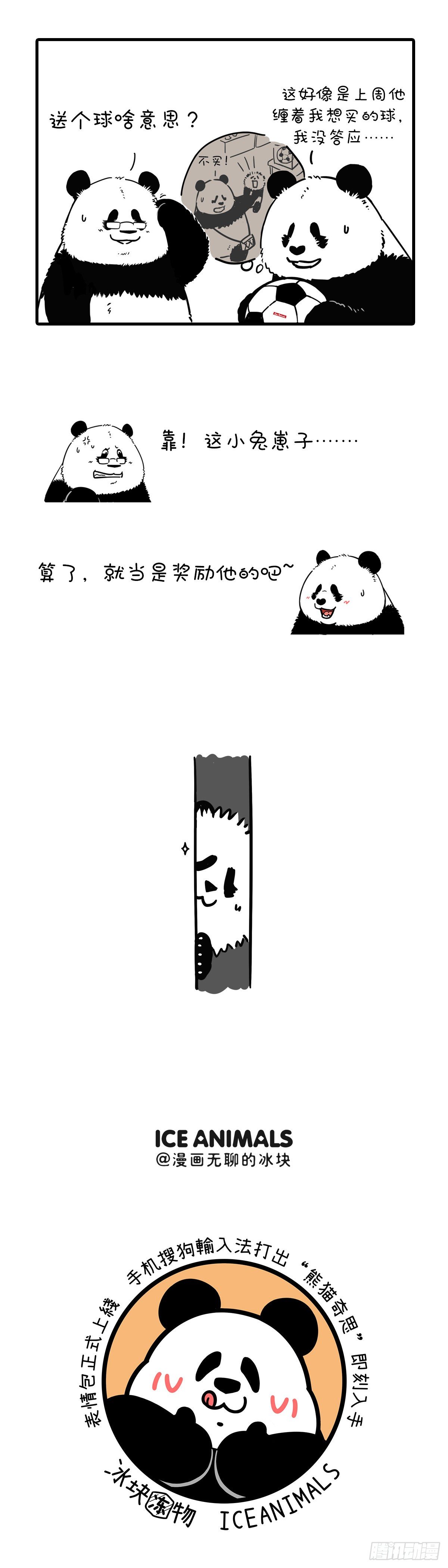 🍕快把动物放进冰箱 母爱如江河，点滴回报永不干涸~ 第5页