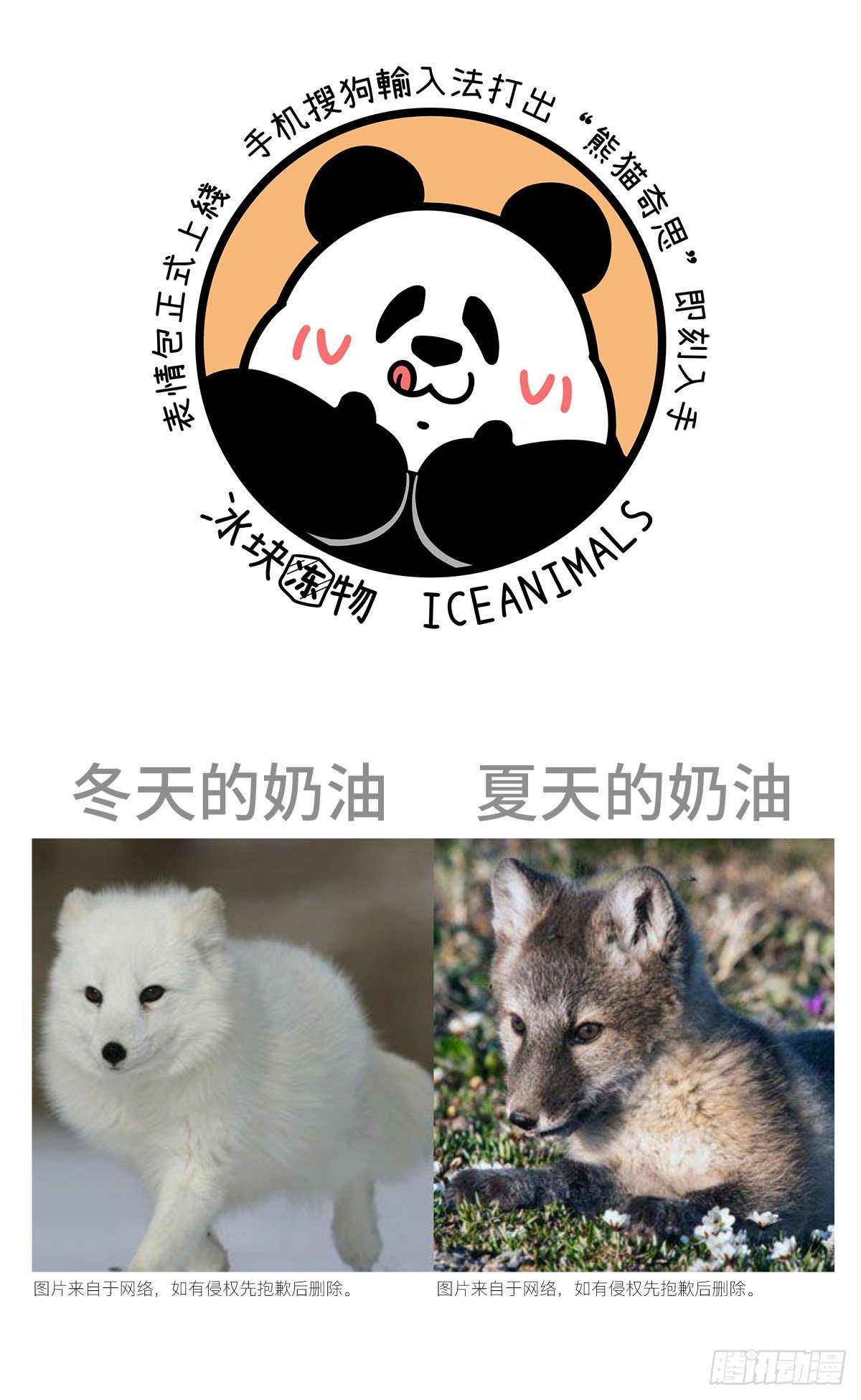 🍕快把动物放进冰箱 正常来讲，笔直的路不太会出轨. 第7页