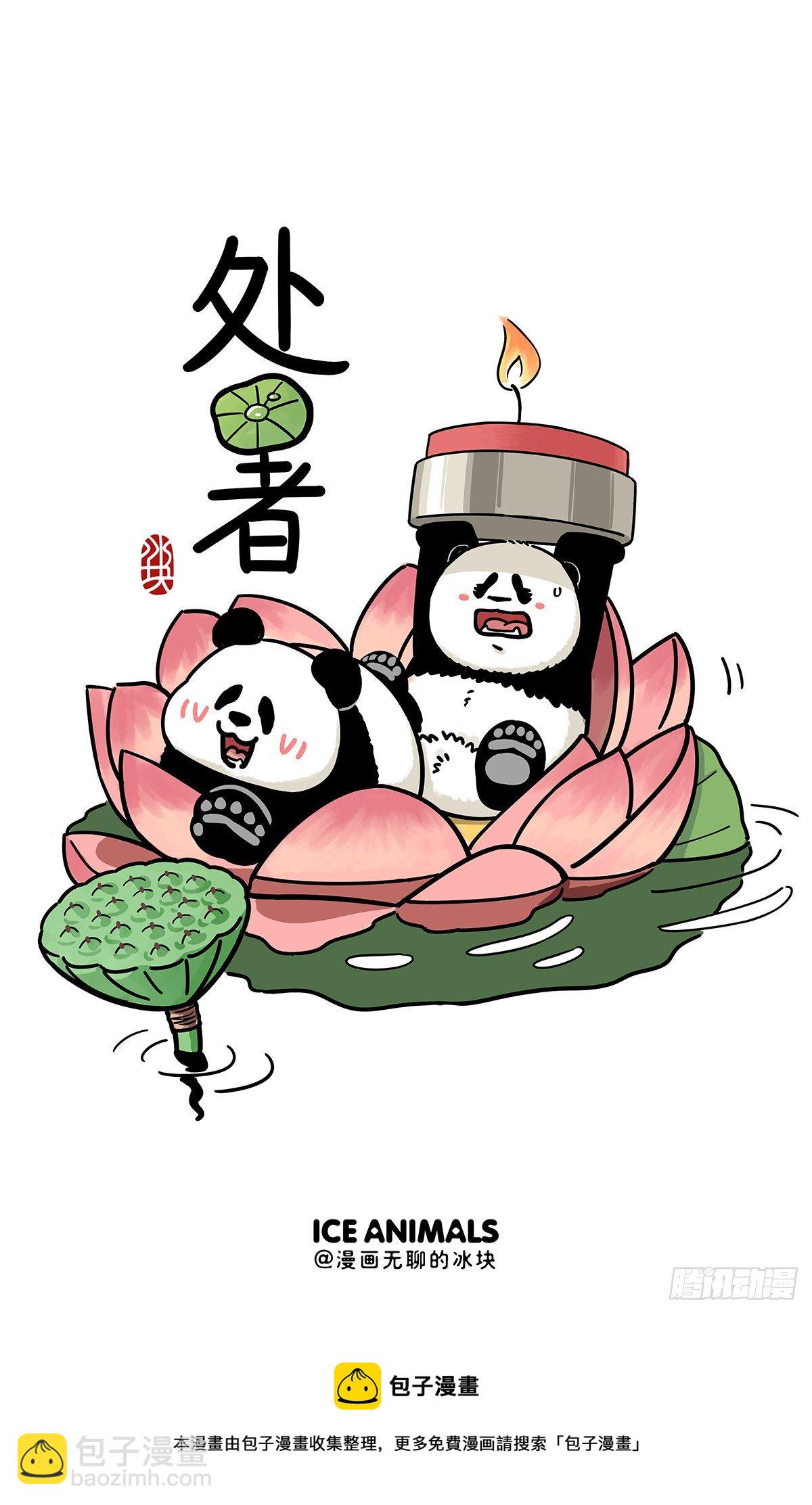 🍕快把动物放进冰箱 笑话，什么空调我们国宝吹不到？ 第6页