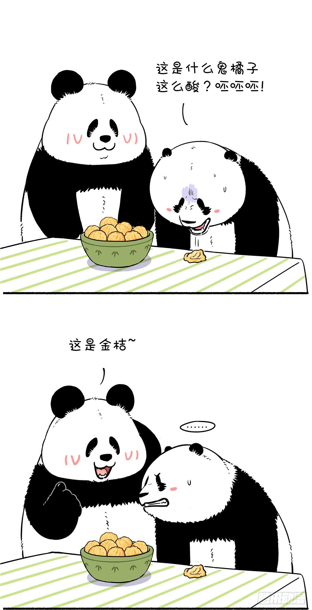 🍕快把动物放进冰箱 遇上有趣的熊吃个水果都这么刺激 第3页