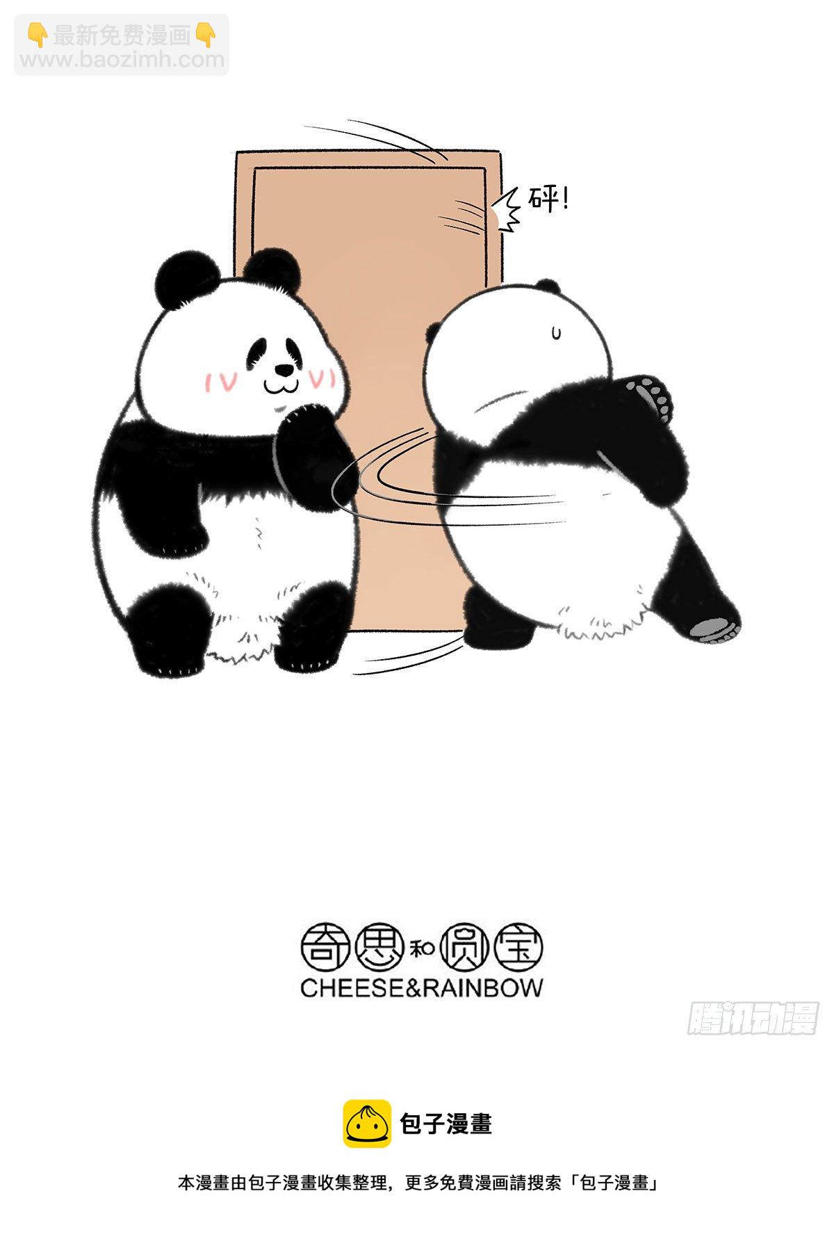 🍕快把动物放进冰箱 真是个寒冷的春天…… 第3页