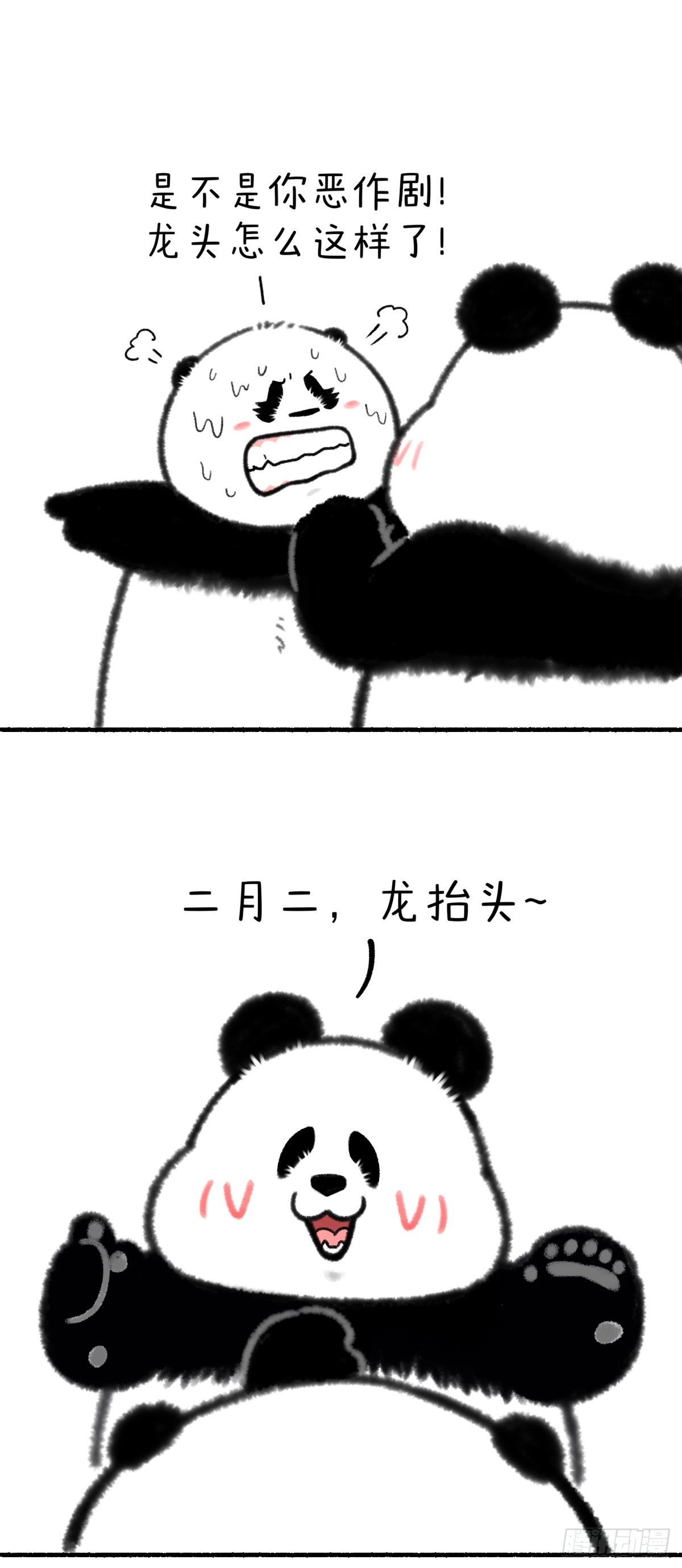 🍕快把动物放进冰箱 二月二龙抬头，一激灵精神抖~ 第2页