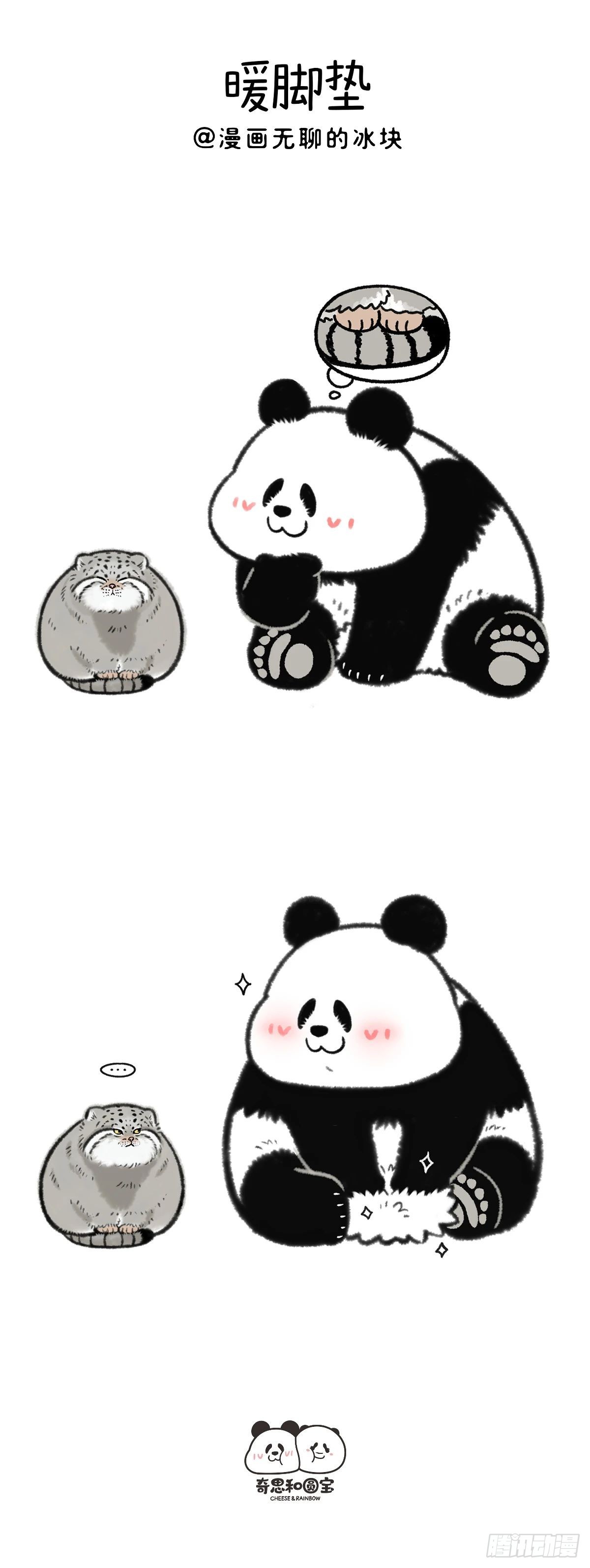 🍕快把动物放进冰箱 足球场上一朵带刺的玫瑰了~ 第14页