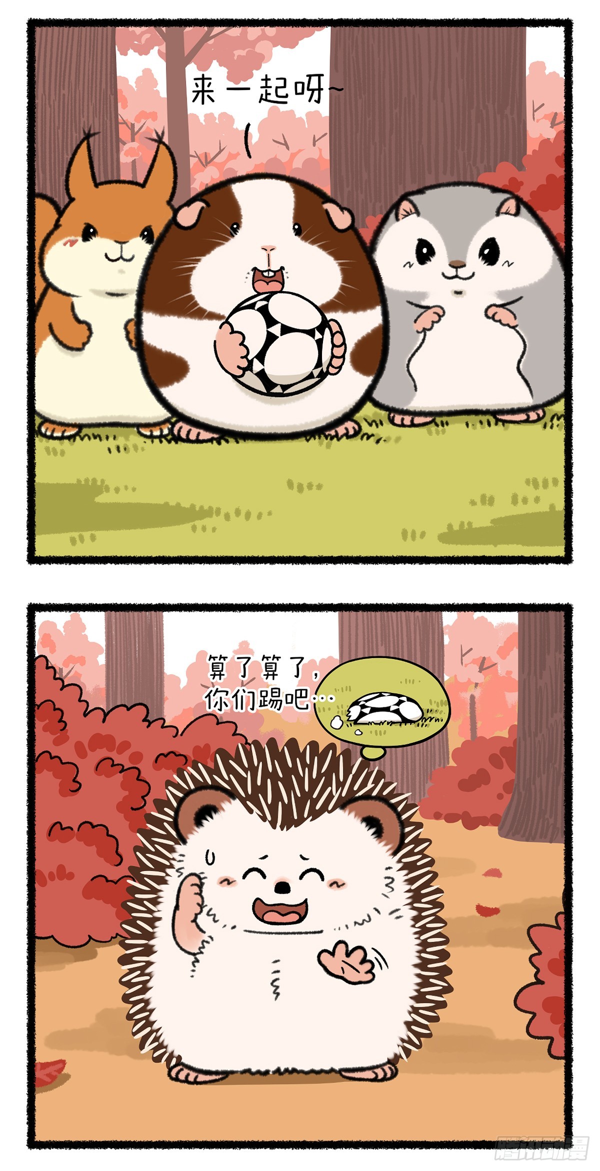 🍕快把动物放进冰箱 足球场上一朵带刺的玫瑰了~ 第2页