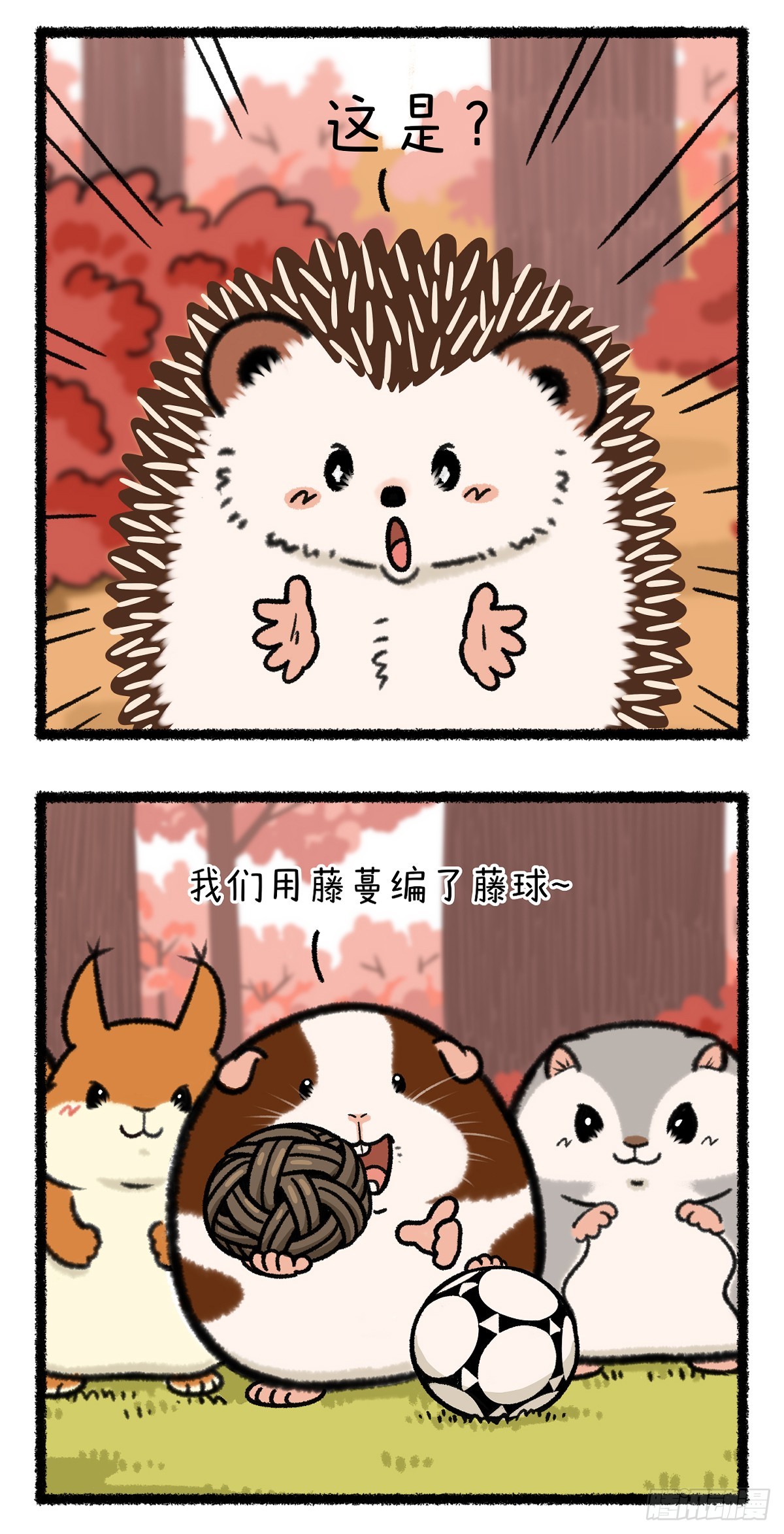 🍕快把动物放进冰箱 足球场上一朵带刺的玫瑰了~ 第4页
