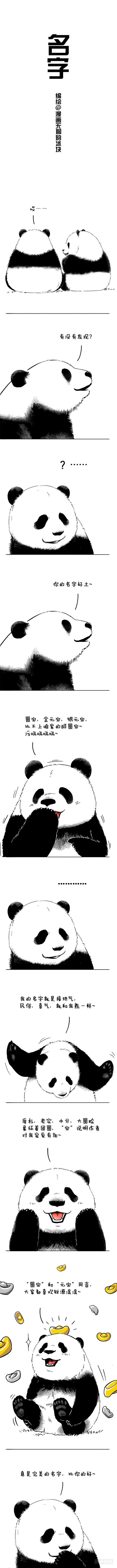 🍕快把动物放进冰箱 042名字（滚滚有名字啦~） 第2页