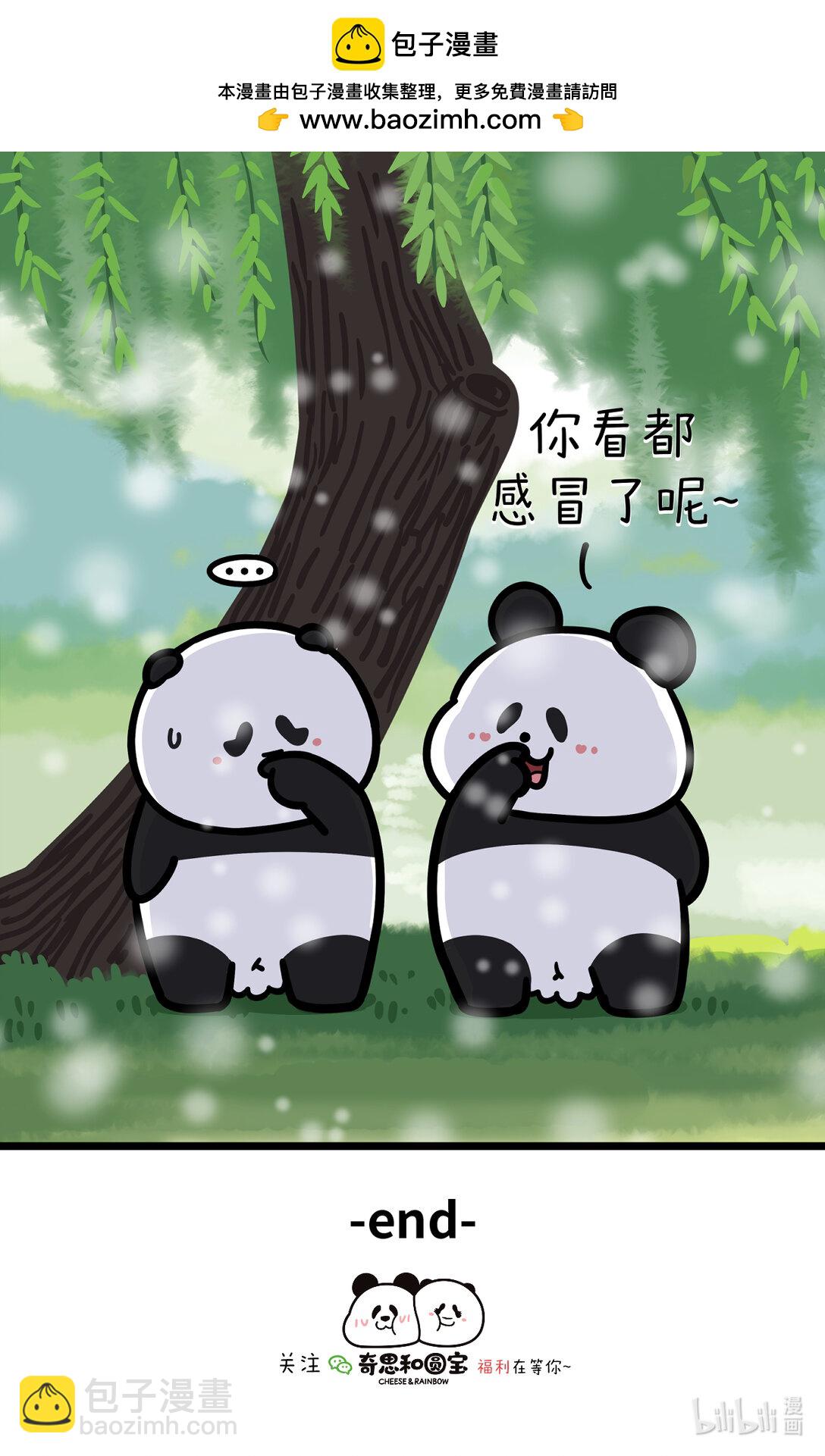 🍕快把动物放进冰箱 445 这么热的520，带上TA去看一场浪漫的雪~ 第7页