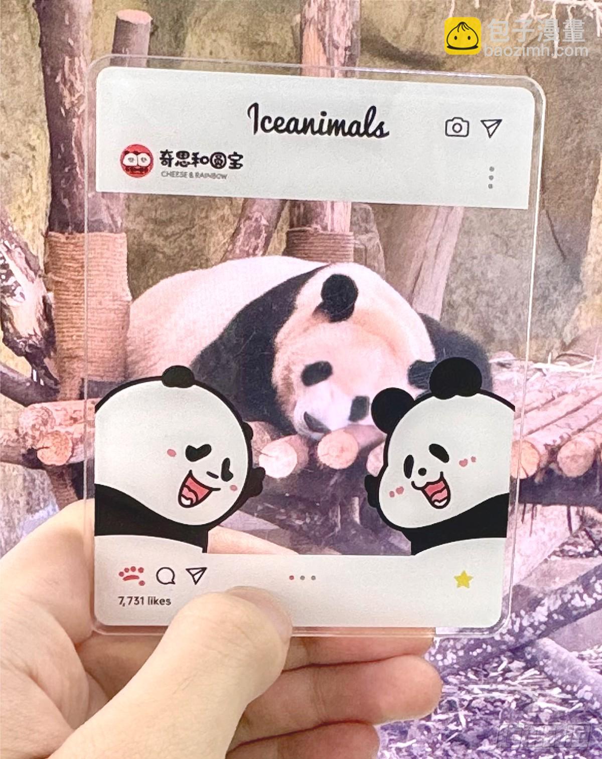 🍕快把动物放进冰箱 开学这件事，可不是这么容易想开 第19页