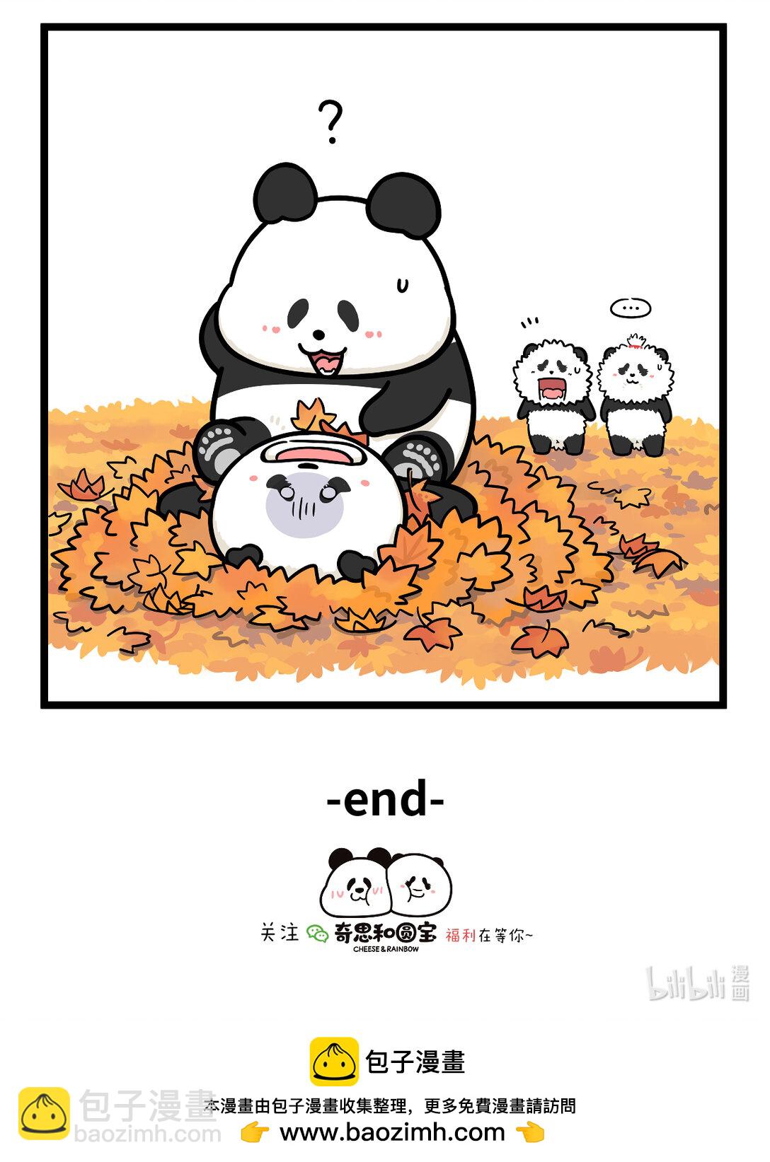 🍕快把动物放进冰箱 一叶可知秋，多叶会障目~ 第11页