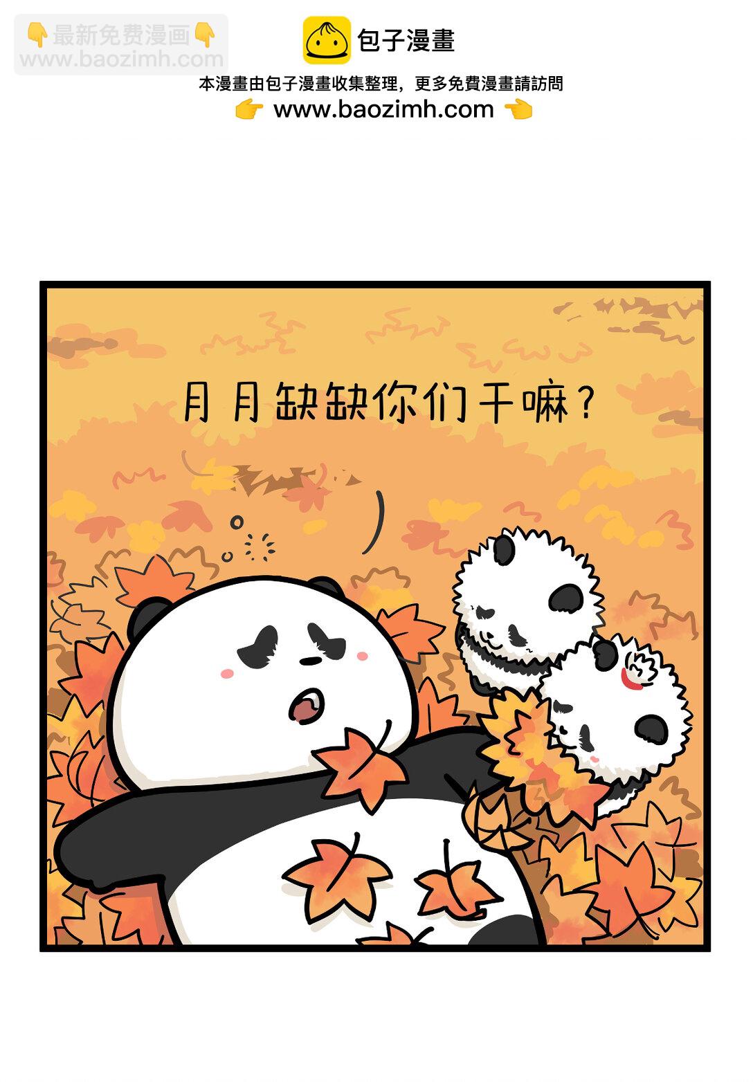 🍕快把动物放进冰箱 一叶可知秋，多叶会障目~ 第2页