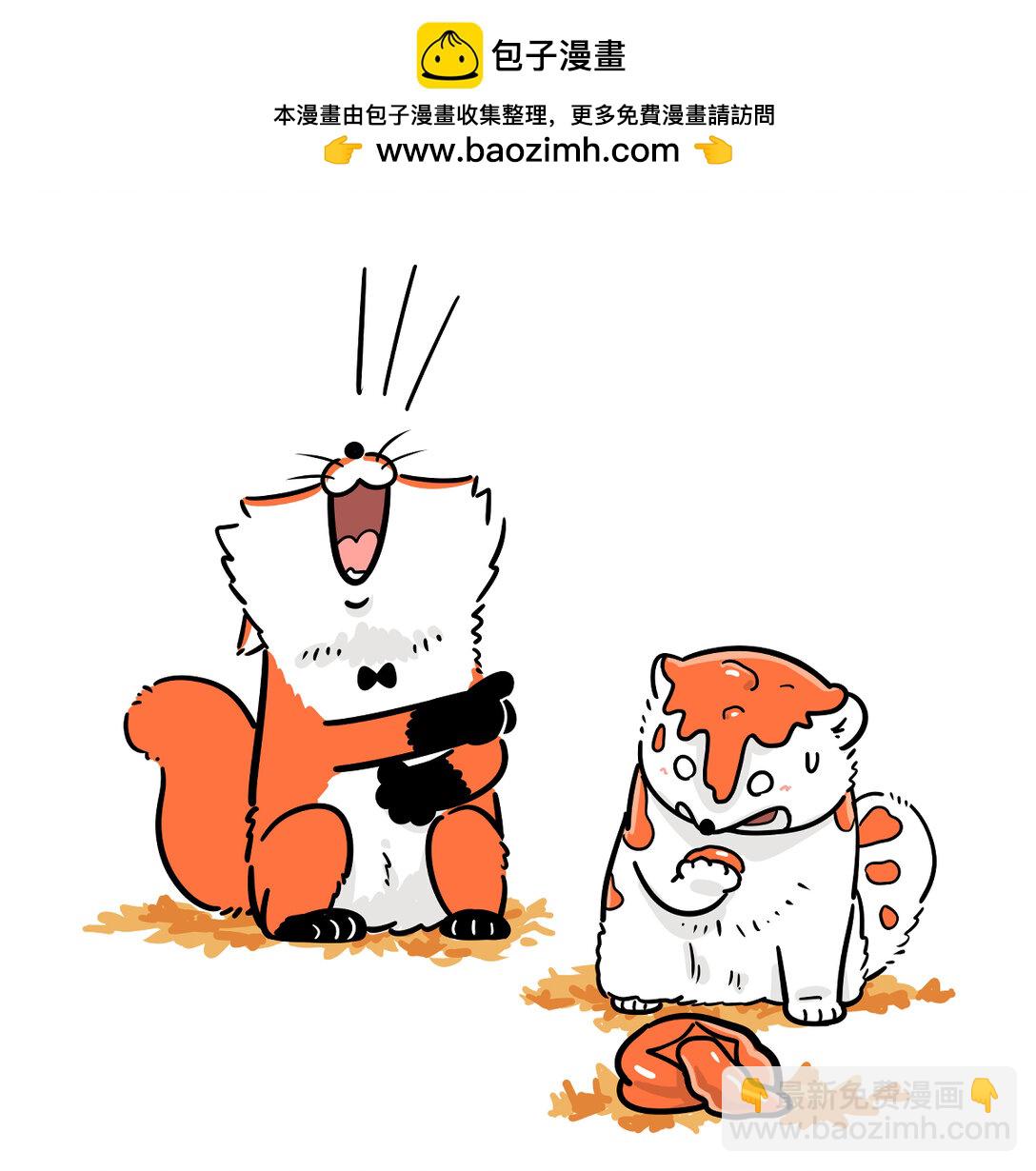 🍕快把动物放进冰箱 霜降好柿坠，般配成绝配 第2页