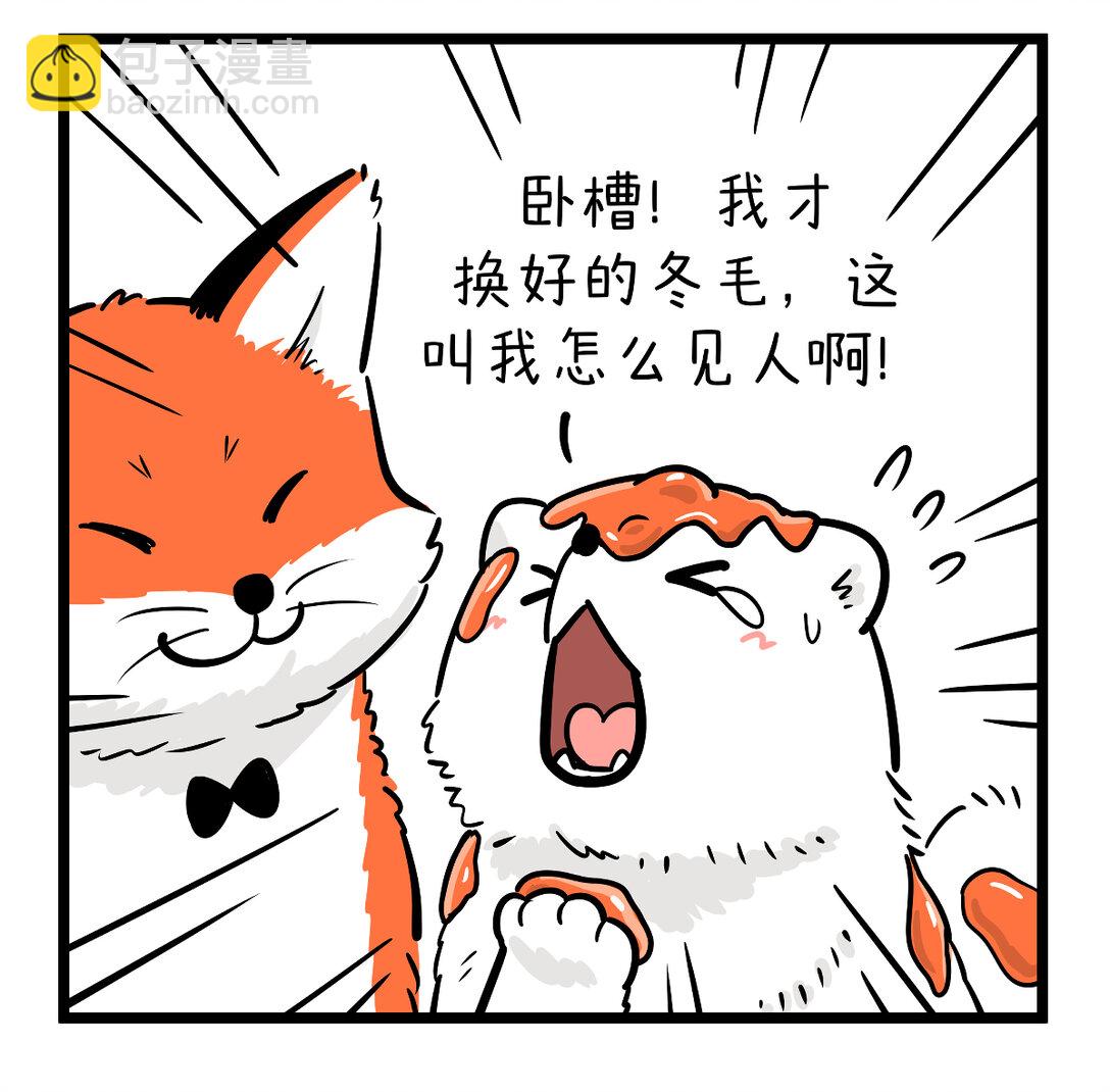 🍕快把动物放进冰箱 霜降好柿坠，般配成绝配 第3页