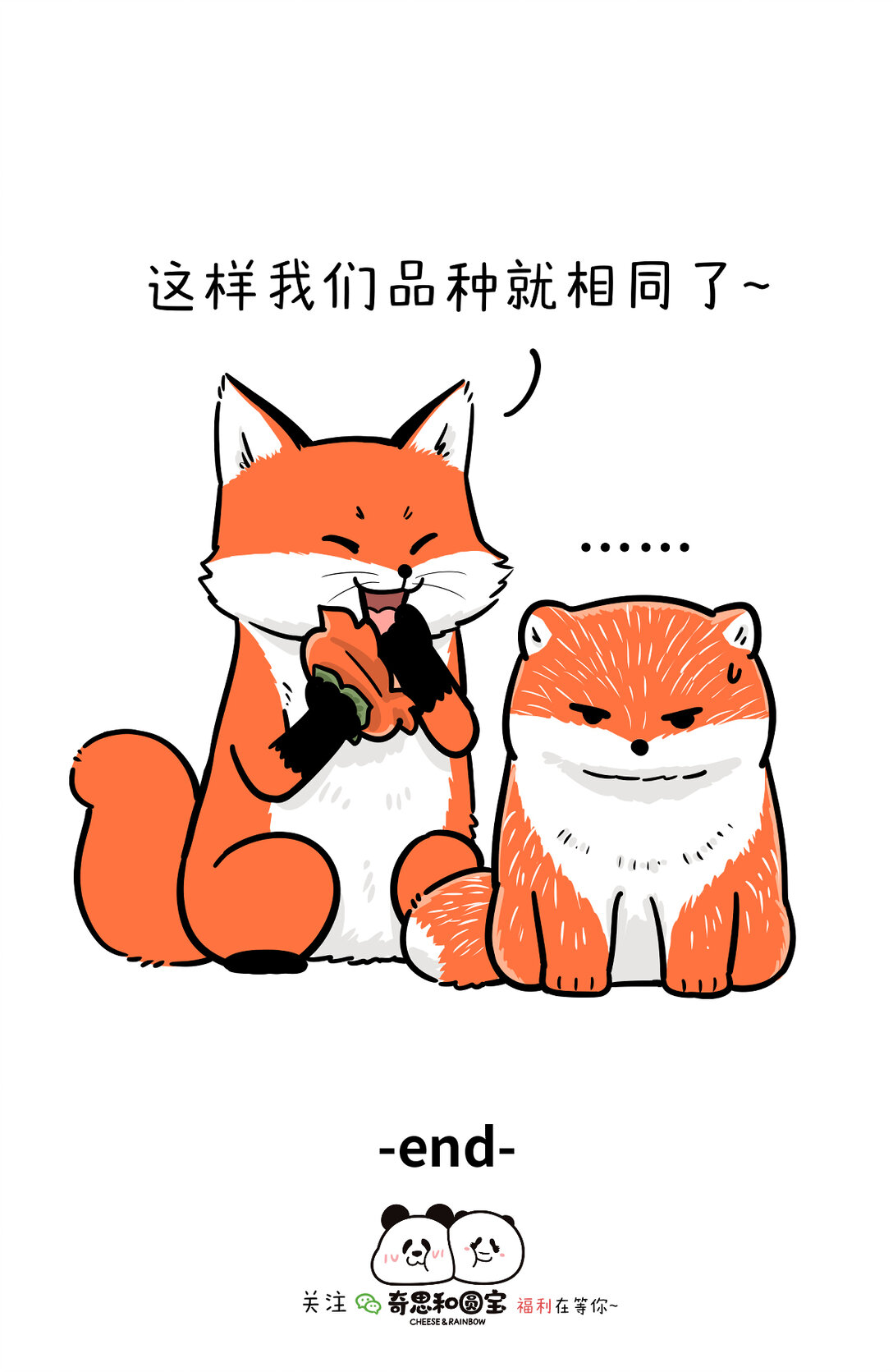 🍕快把动物放进冰箱 霜降好柿坠，般配成绝配 第5页