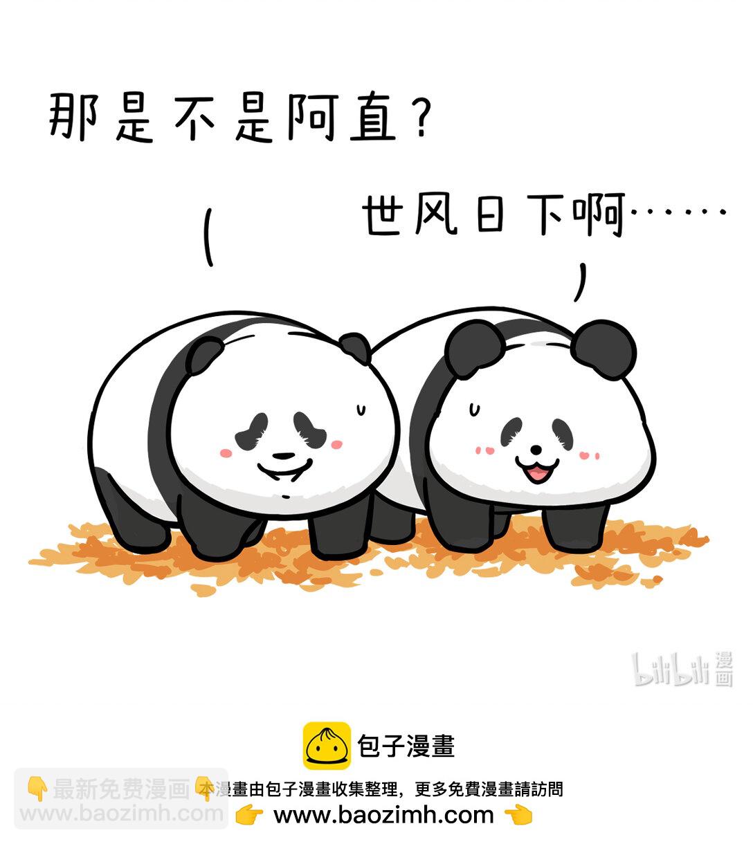🍕快把动物放进冰箱 霜降好柿坠，般配成绝配 第7页