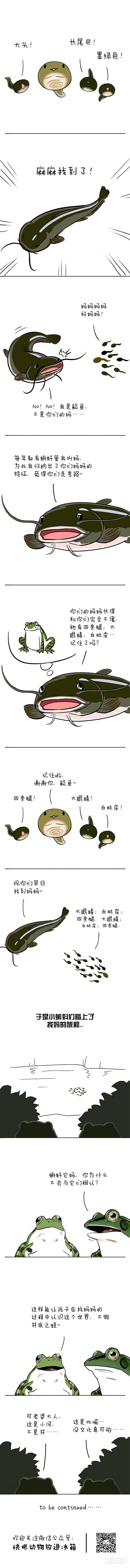 🍕快把动物放进冰箱 064小蝌蚪找麻麻01 第2页