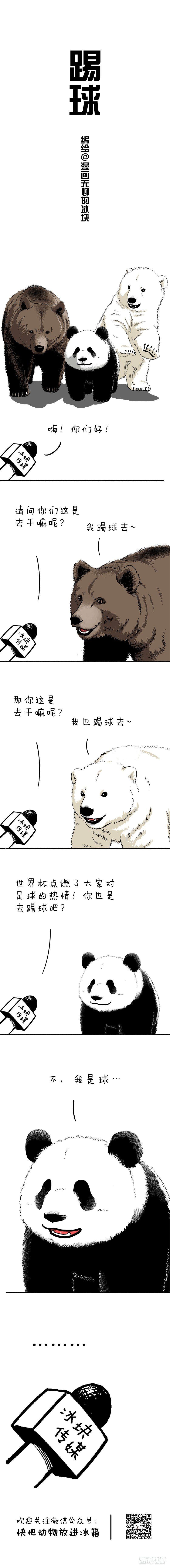 🍕快把动物放进冰箱 090踢球 第1页