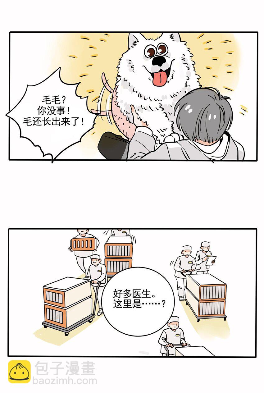 224-第224话