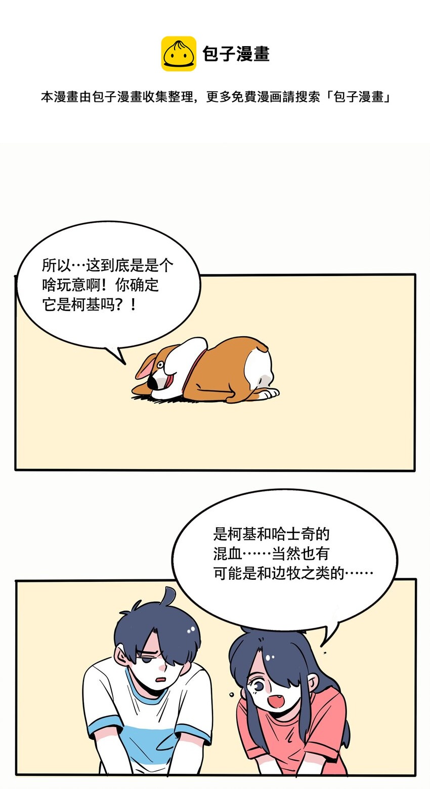 315 315-第316话