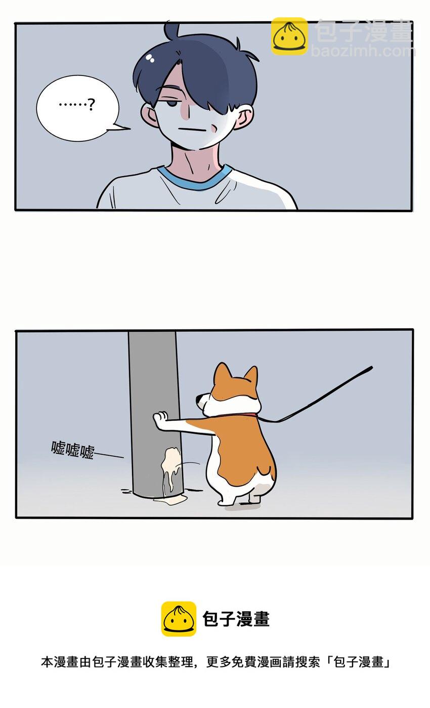 315 315-第316话