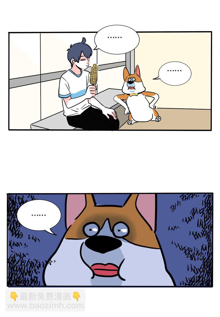 317 317-第318话