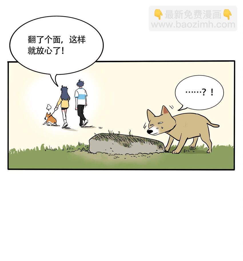 317 317-第318话