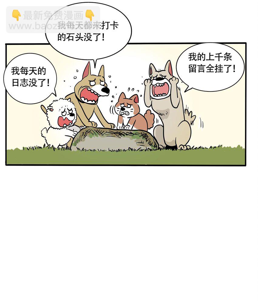 317 317-第318话