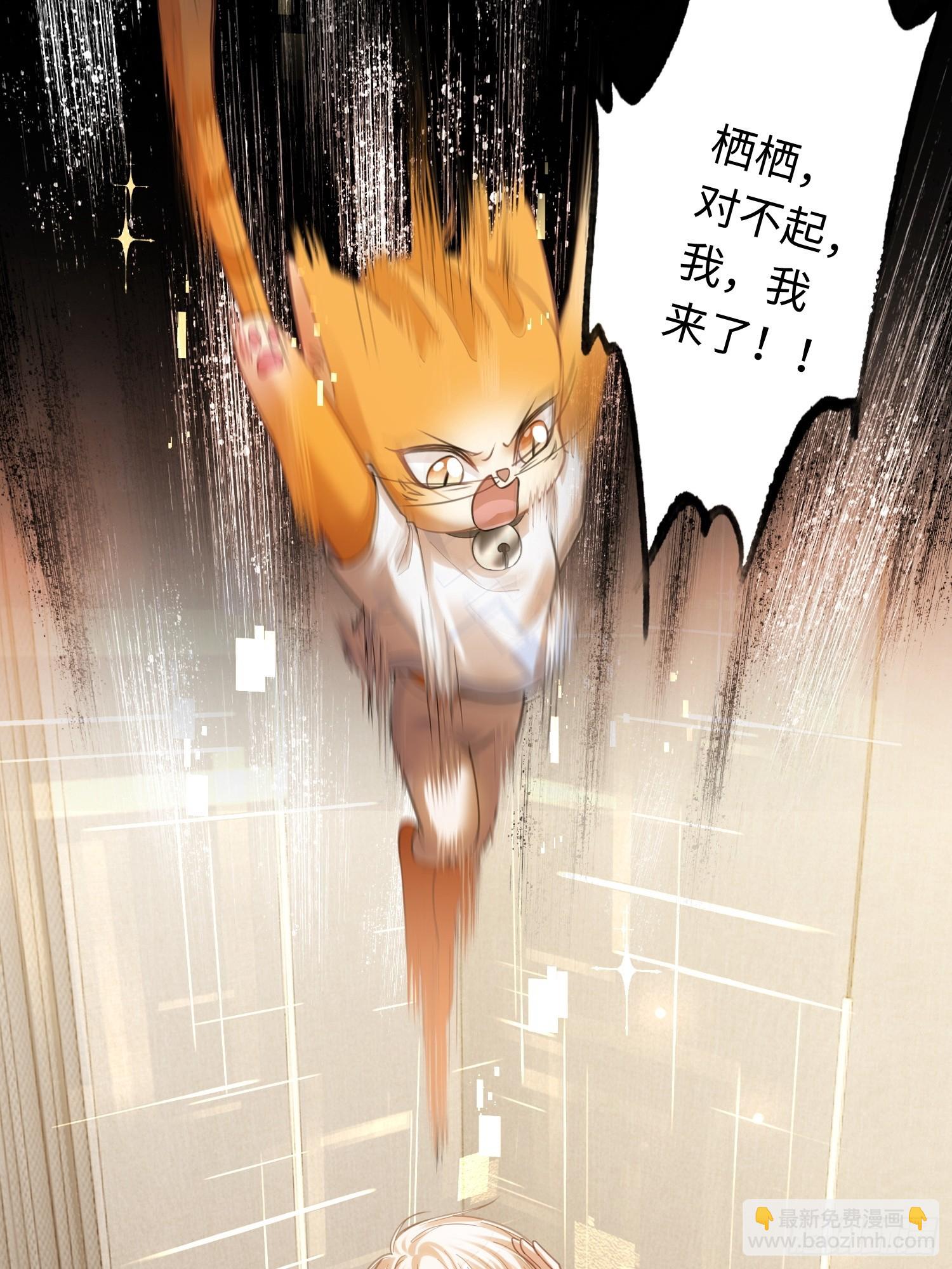 68 兔兔上贼船-第68话