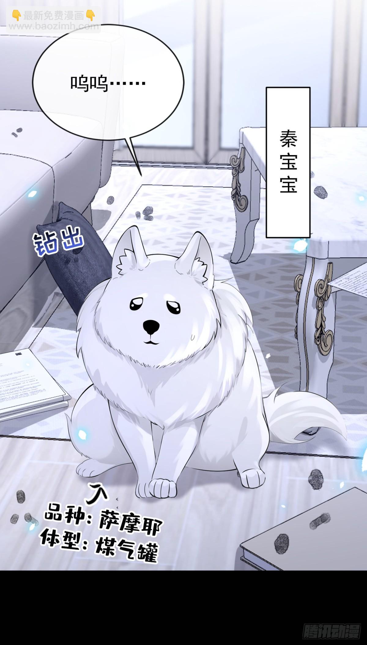 🍕快穿：宿主她一心求死 第104话 把你的狗接走！ 第17页