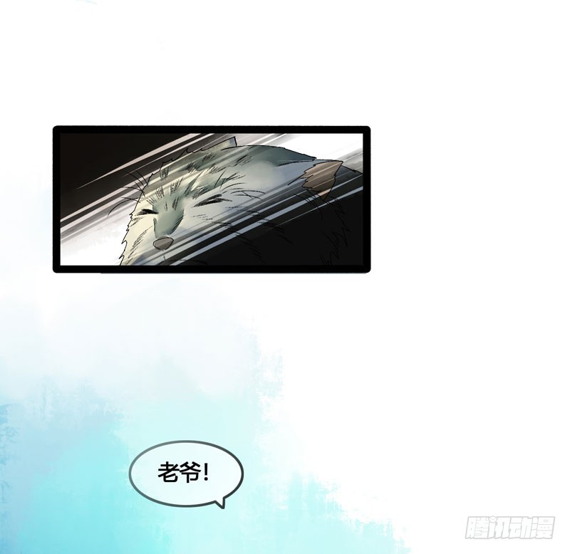 姑娘，我是你当年救下的小可爱呀！-第44话