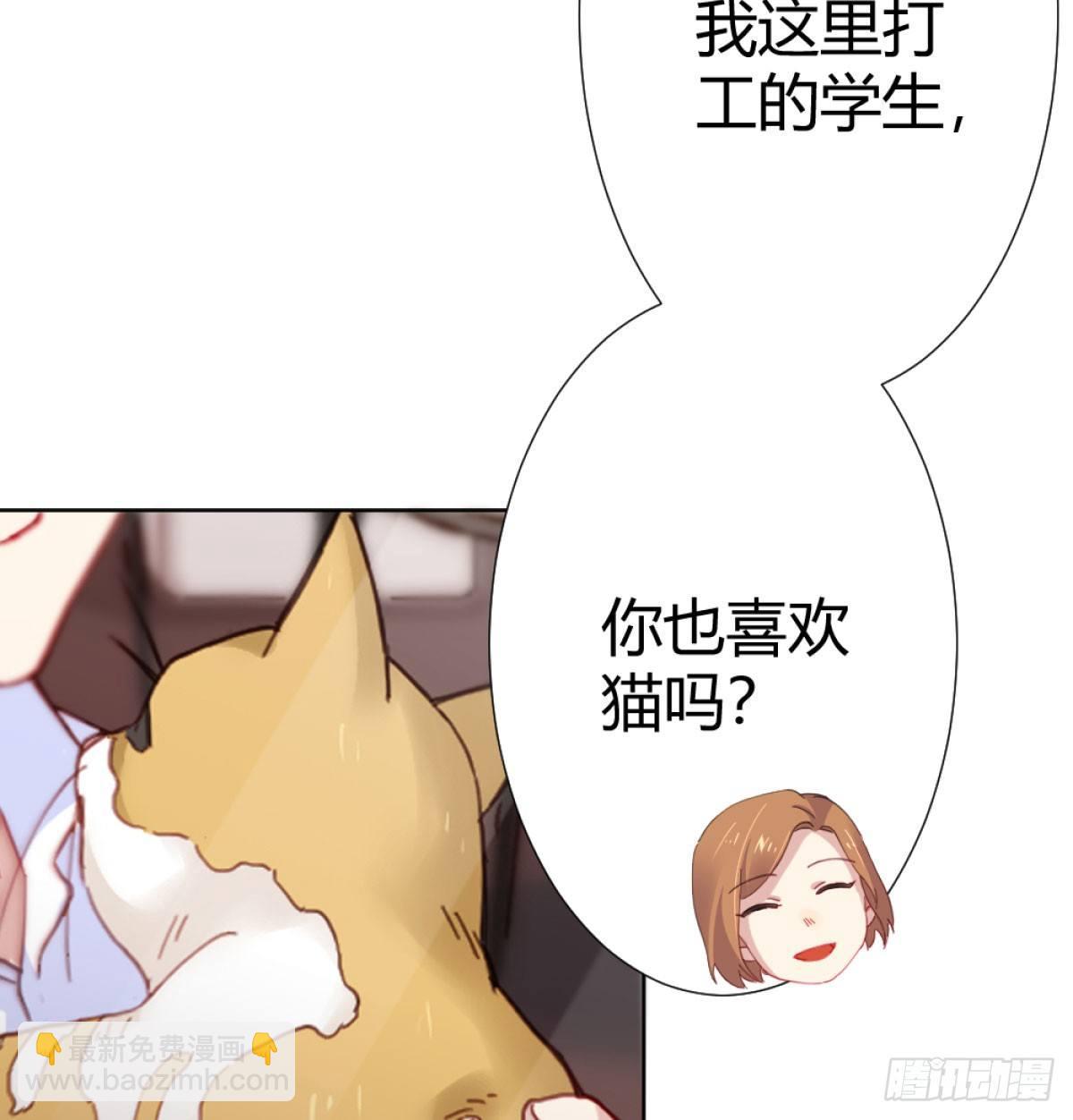 第71话-替代品(1/2)-第92话
