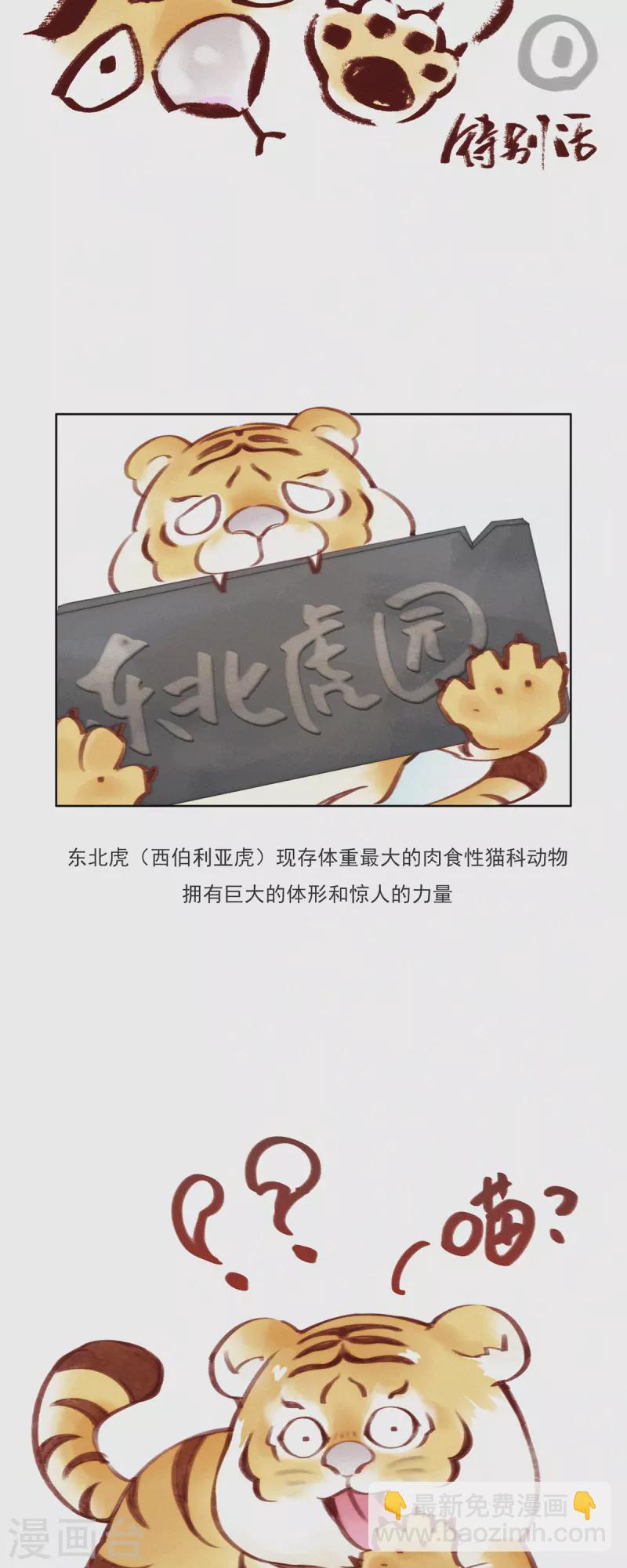 第11话 春节特别篇-第10话