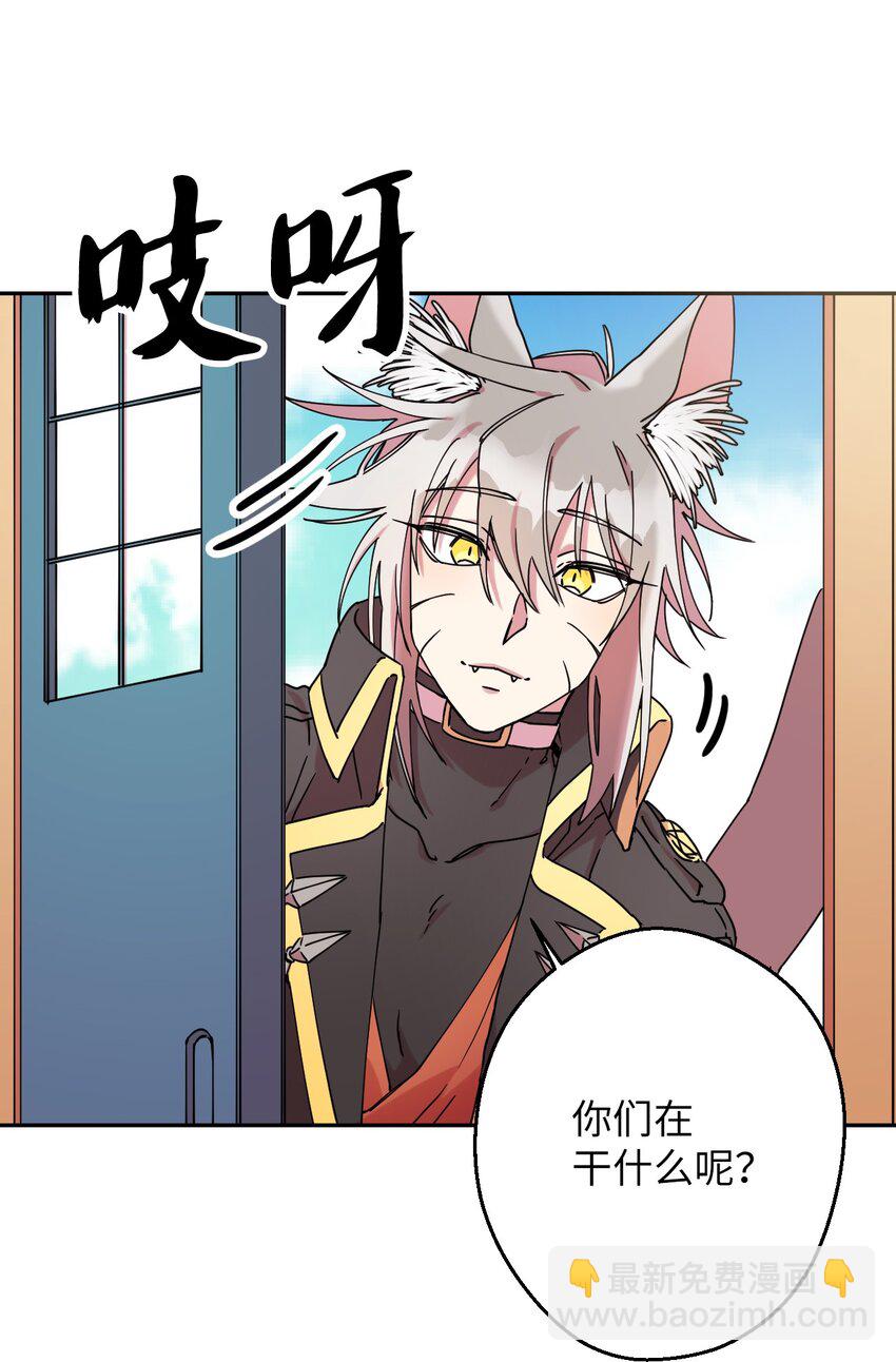12 时装秀(1/2)-第12话