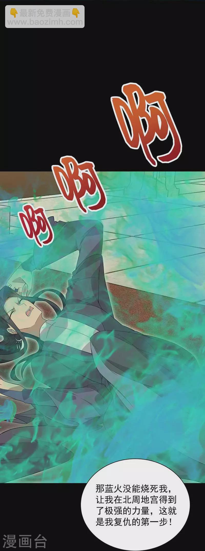 🍕狂女重生：纨绔七皇妃 第338话 原来你才是幕后主使 第29页