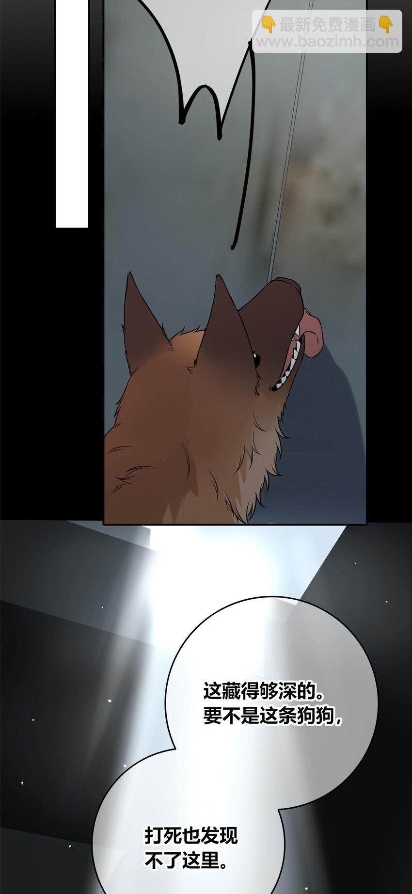 84 84-第84话
