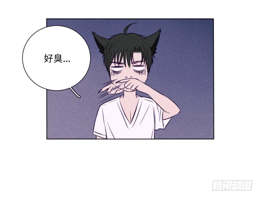 新春特辑/三只小猪(1/2)-第34话