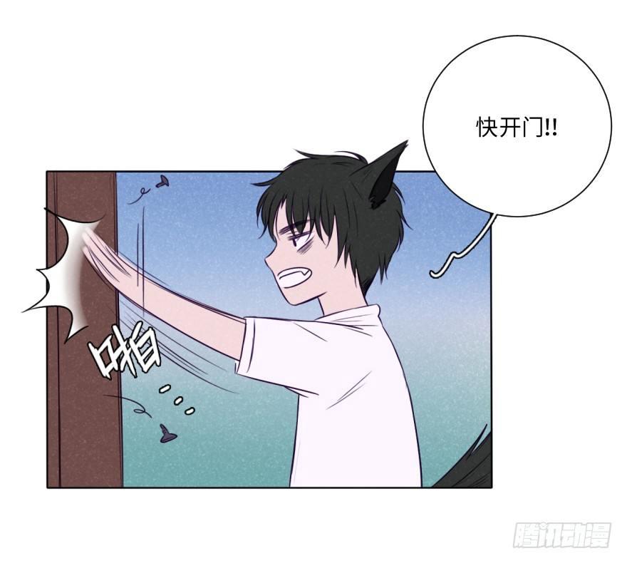 新春特辑/三只小猪(1/2)-第34话