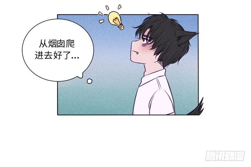 新春特辑/三只小猪(1/2)-第34话