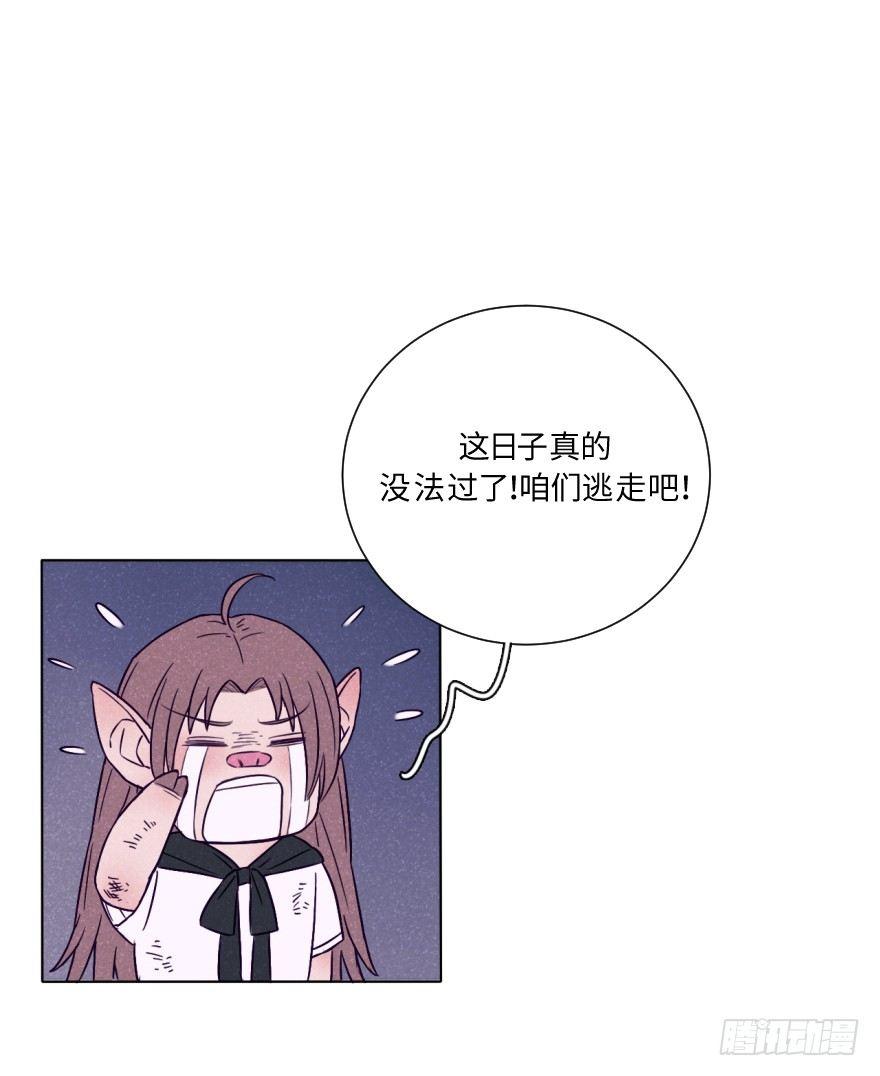 新春特辑/三只小猪(1/2)-第34话