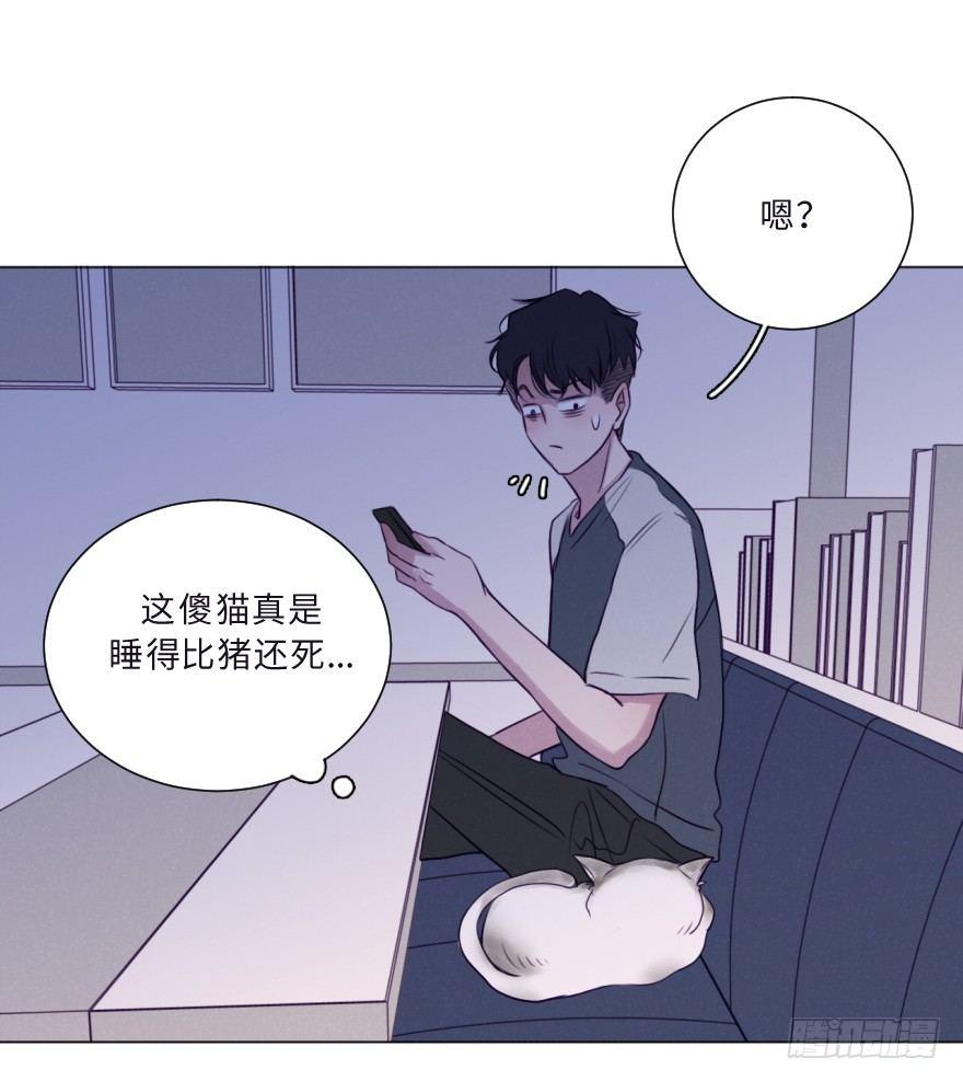 黑吃黑(1/2)-第58话