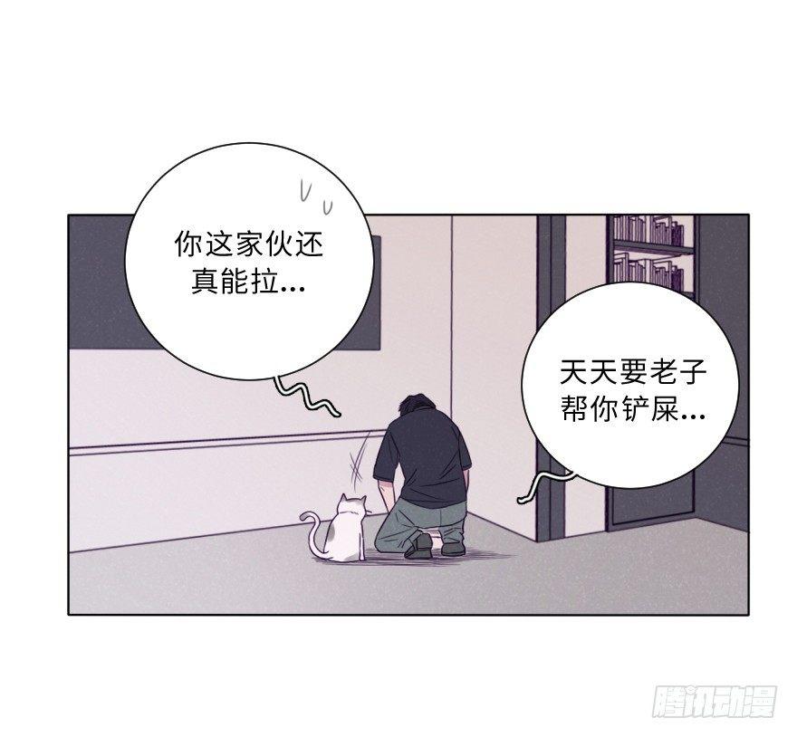归宿-第60话