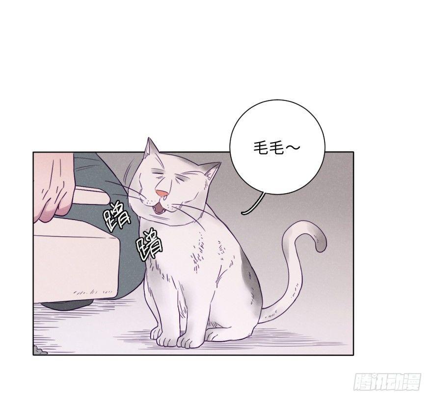 归宿-第60话